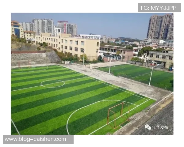 足球收集的乐趣与价值探索让每一位球迷都能找到自己的珍藏之路